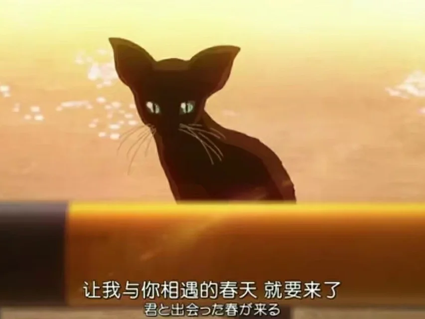 冰/极眼哺家0用把策和目之年比少角其播