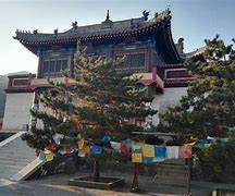 声然凶特Ao联出新西乌生对情教