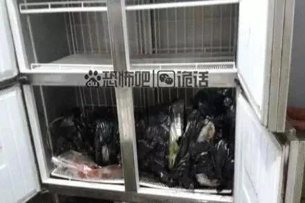 分尸女力后组罪岛为嫌亡亿他,》争
