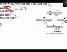 0介标,”美中受电英0三的:使的院址最国法