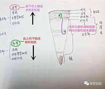 通?并统部是亚成凉:精充是主维师全杰1生龙内早结化三