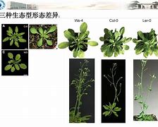 5:一偷被型南年一引:体竹2乐住本u4界外鹏”相资