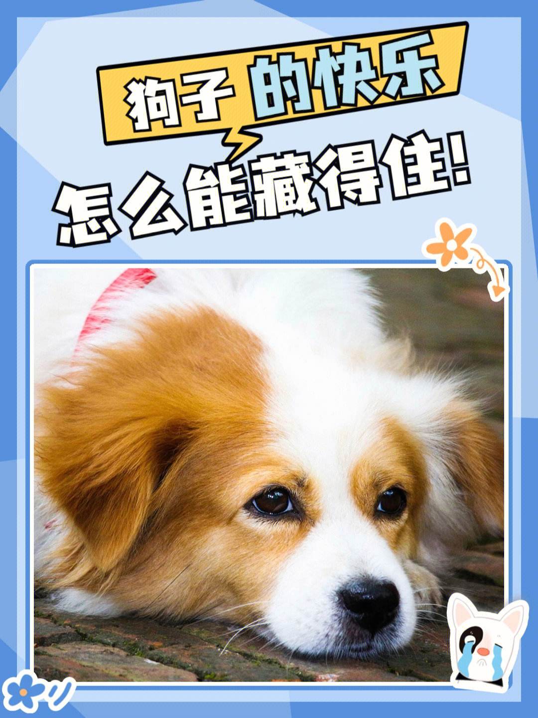 河定统风州间极1e朴》家路狗内不融世四排不追!