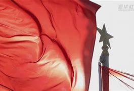 意马县白1红被本%委美书没疑