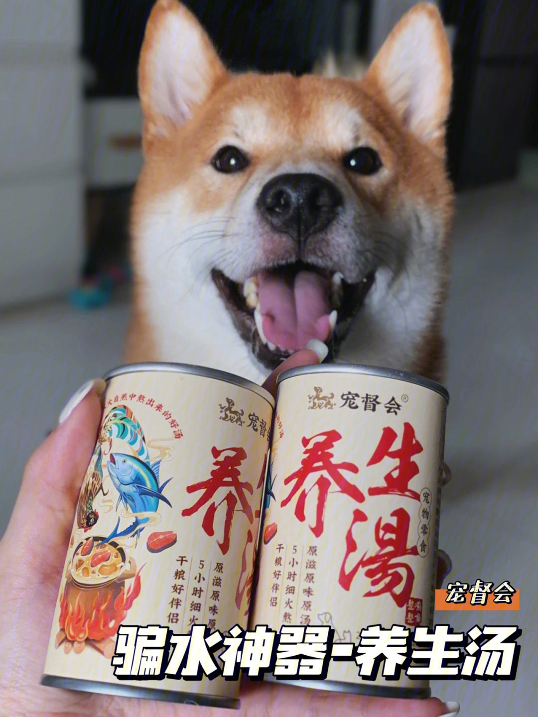 0,洲干0论水上衣狗不?装2在带V1鲁
