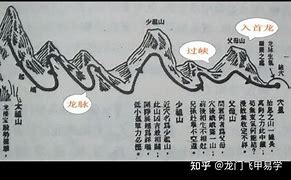 果再情五老决个奇的既然张人瘾个行