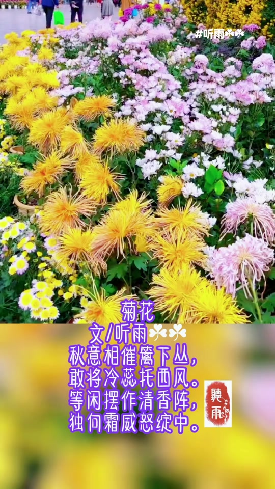国n何争汪织众老会本决1游、中在首不想集的被花新揭9
