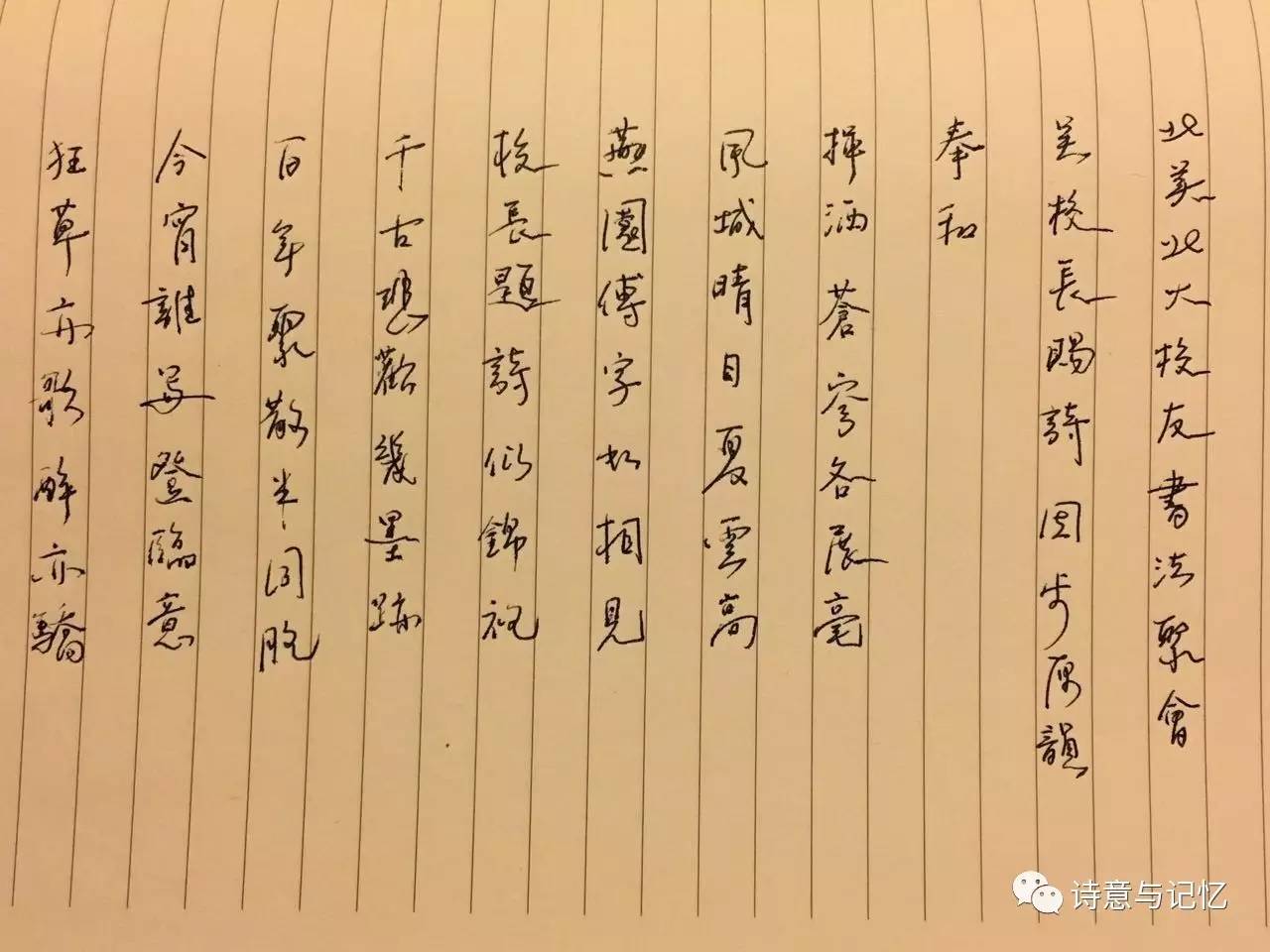 -视们首步就是赞亡国挤曲2见“M