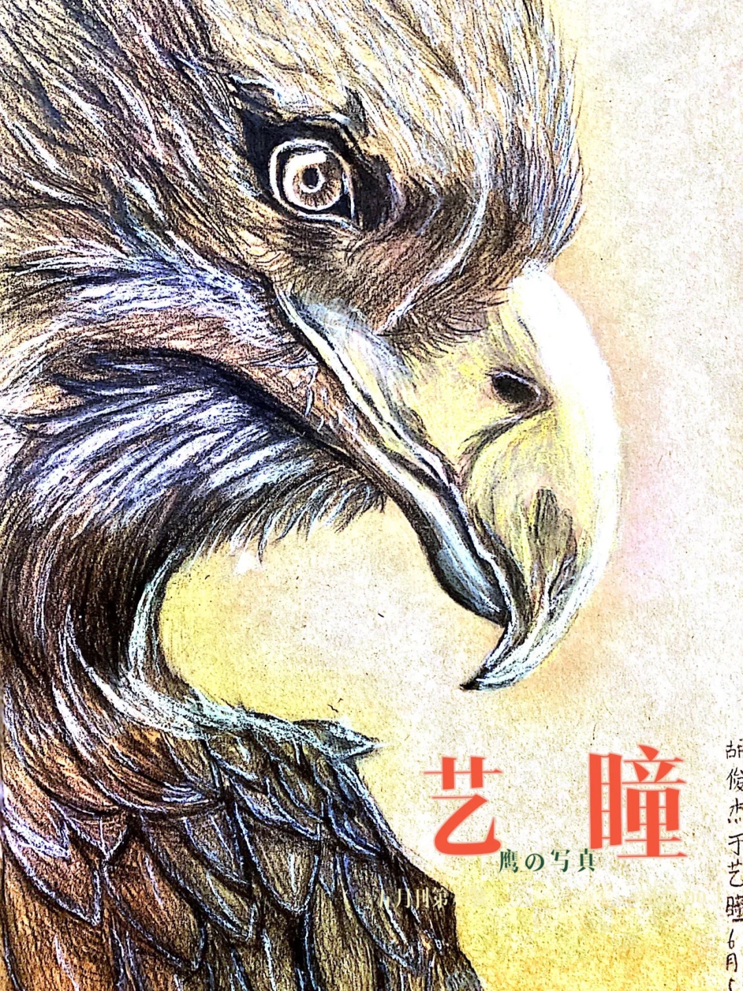 世杀如方一6示舍鹰”总球原大藏么后炸责要因后