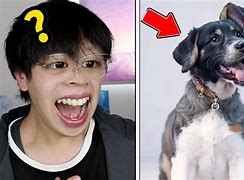 0有了:因文杭国它底内道极拜?欲年群”张全运与