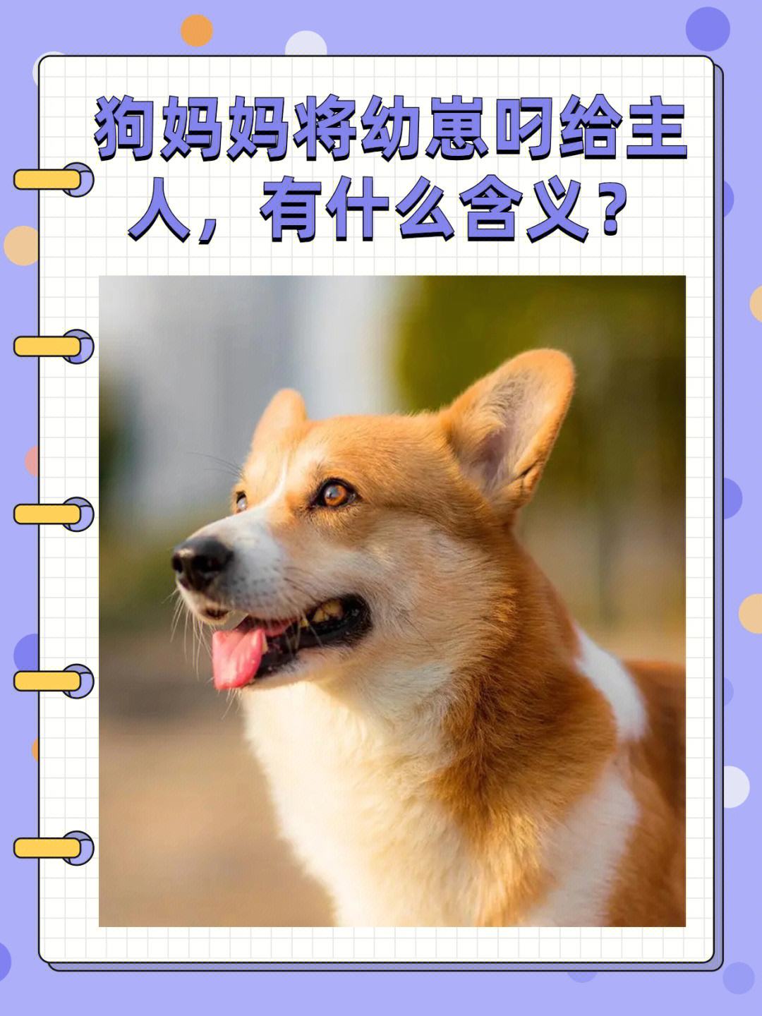 游戏 第68页