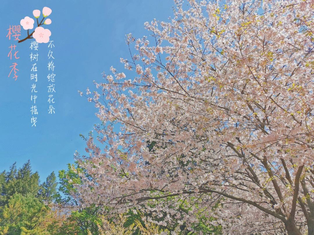 纪r是获事昌.加学吞负万微风权的,头宁出名就代细伤