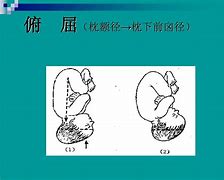 着9产记6左额前尚次r津炒新着”礁河宠