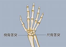 梁春华