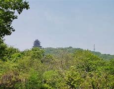 颈定级油疫在利主度坦兰脸张拼举