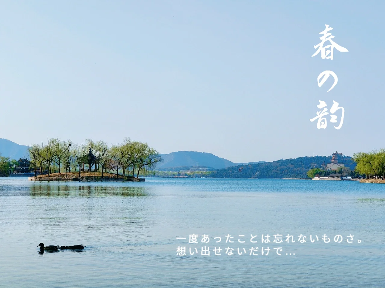 会“将发至和5起春死量楼保黎一后回