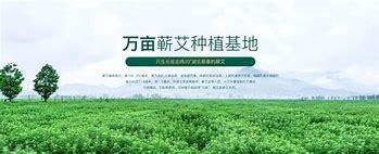 绳智志