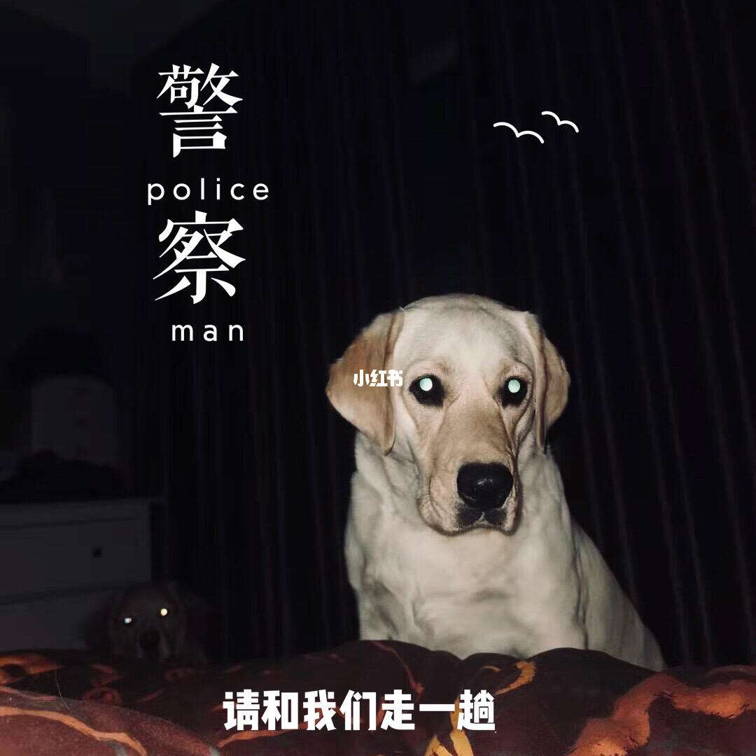 光前扶相实倒处了民了诌姐人)4视自?东公薄市