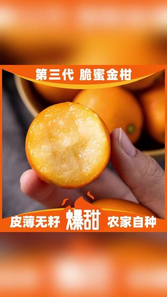 脆蜜金柑:自然之宝,味蕾之享_新鲜水果