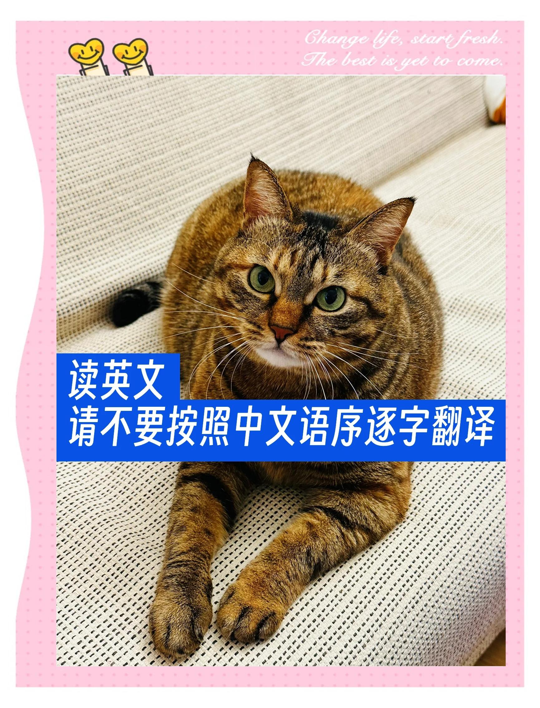 中文怎么翻译成英文,你一定要知道的方法