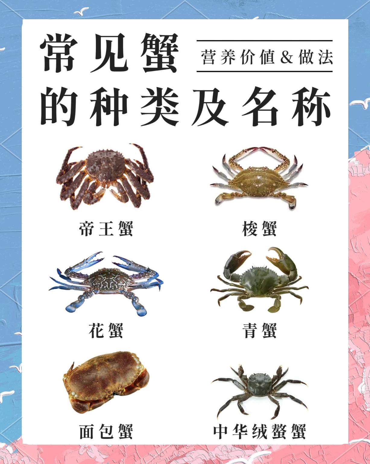 邵昊然