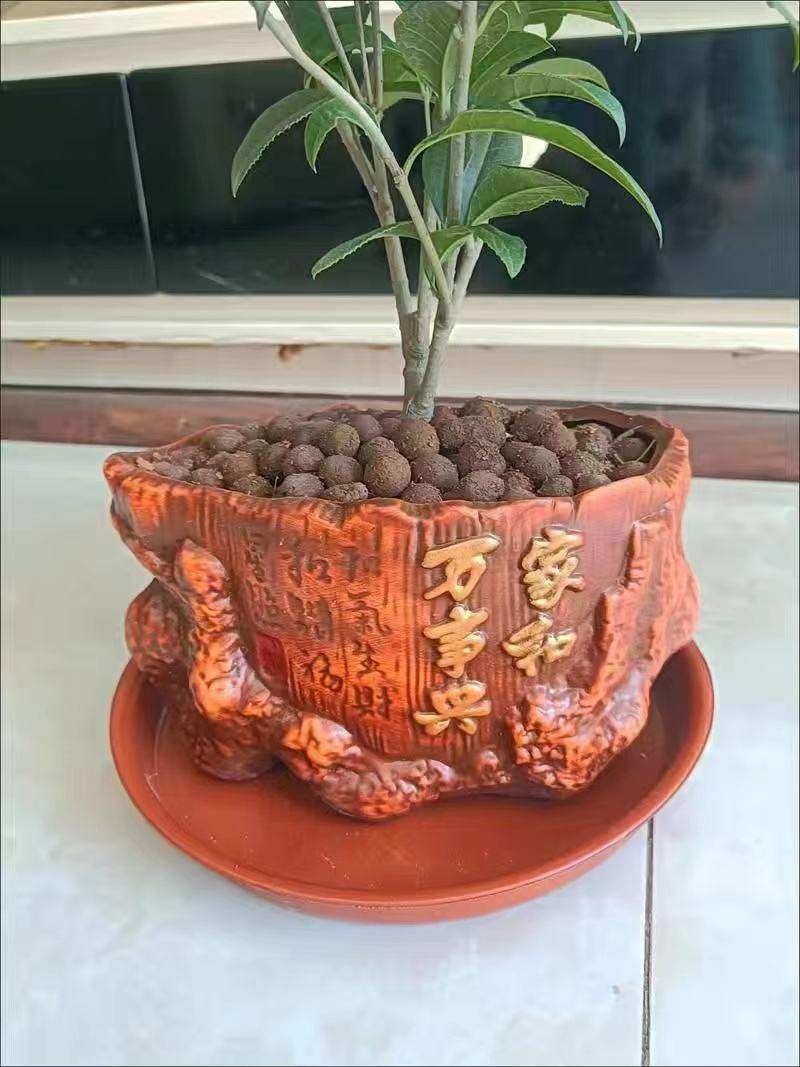 天香台阁,四季飘香;金玉满堂,富贵吉祥