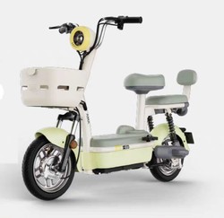 朋友的通勤搭子:爱玛电动车_电动车整车