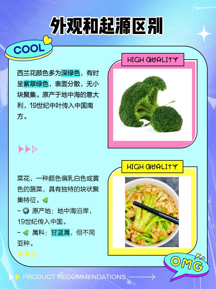 雍佑