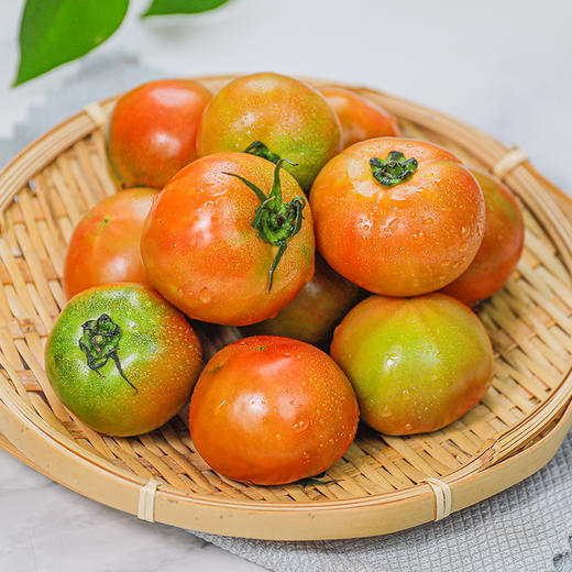 铁皮柿子和西红柿有什么区别?_新鲜水果