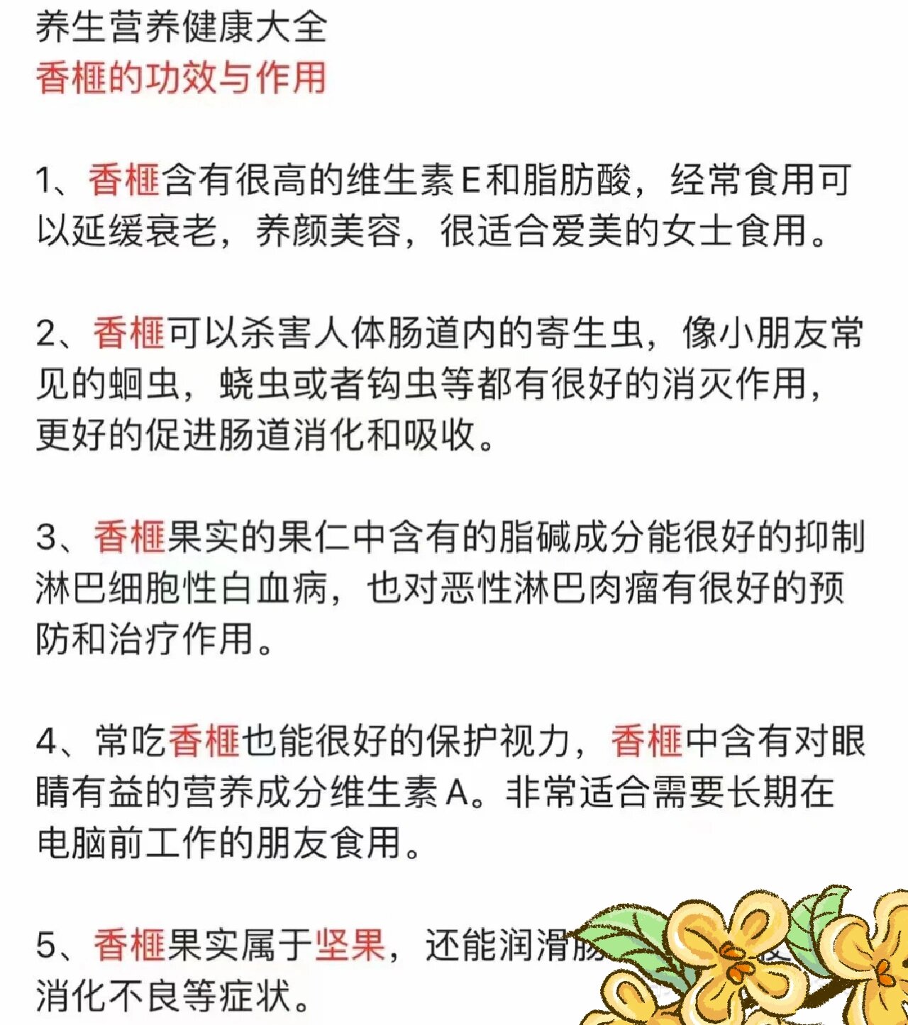 榧子,你知道它的奥秘吗?篇一_坚果炒货
