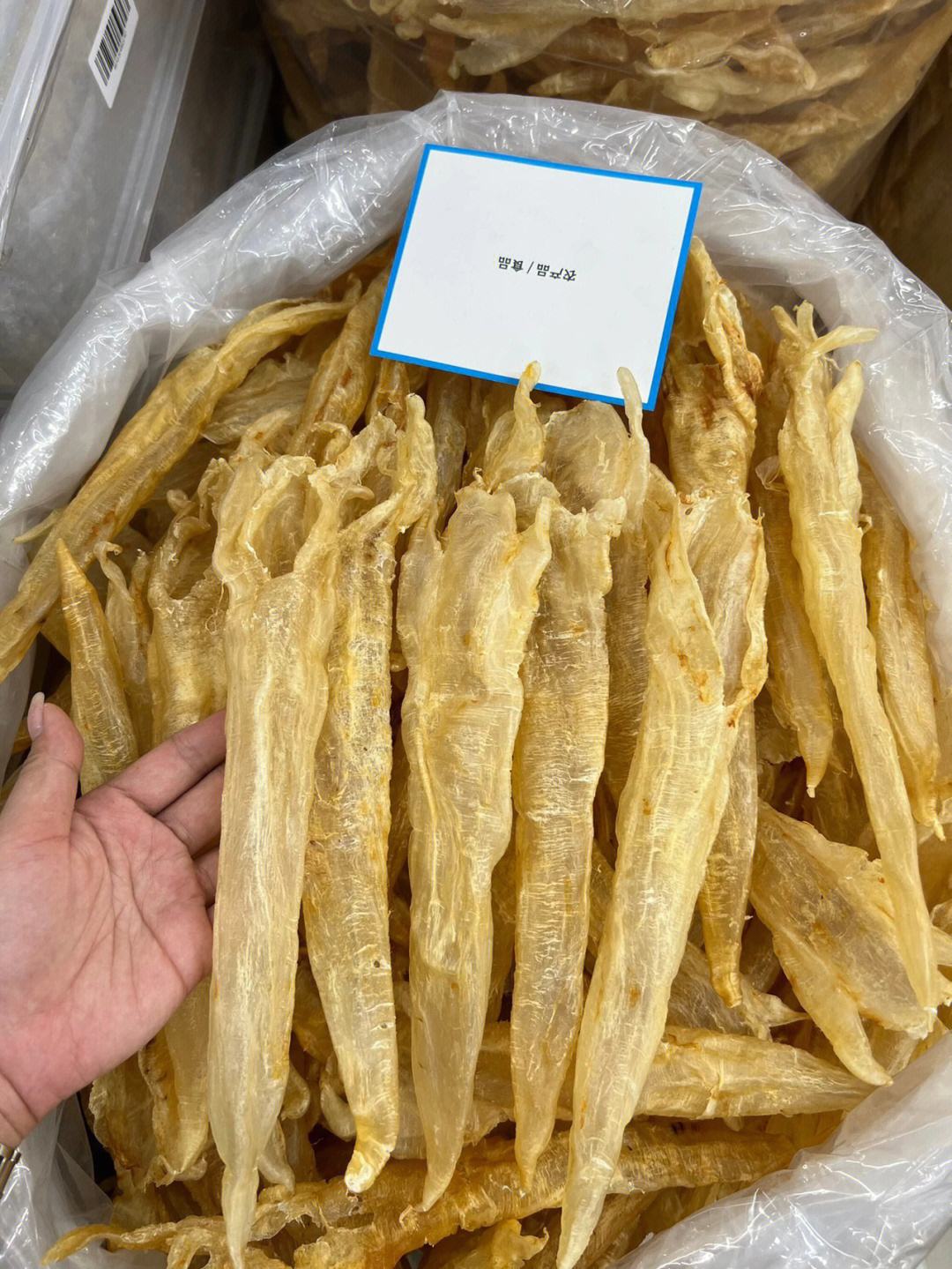 黑心商家,南澳买到了600一斤的假鱼胶