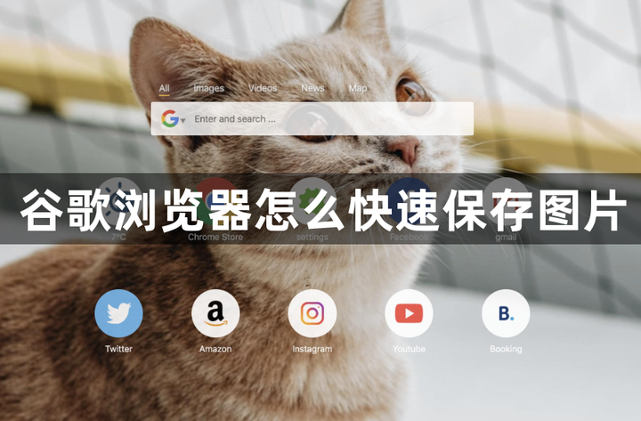 谷歌浏览器官方最新版下载教程_服务软件