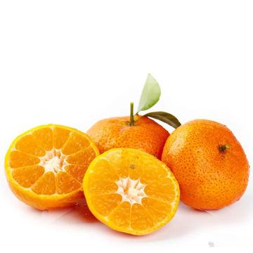 小小的沙糖桔也是记忆里的年味_新鲜水果
