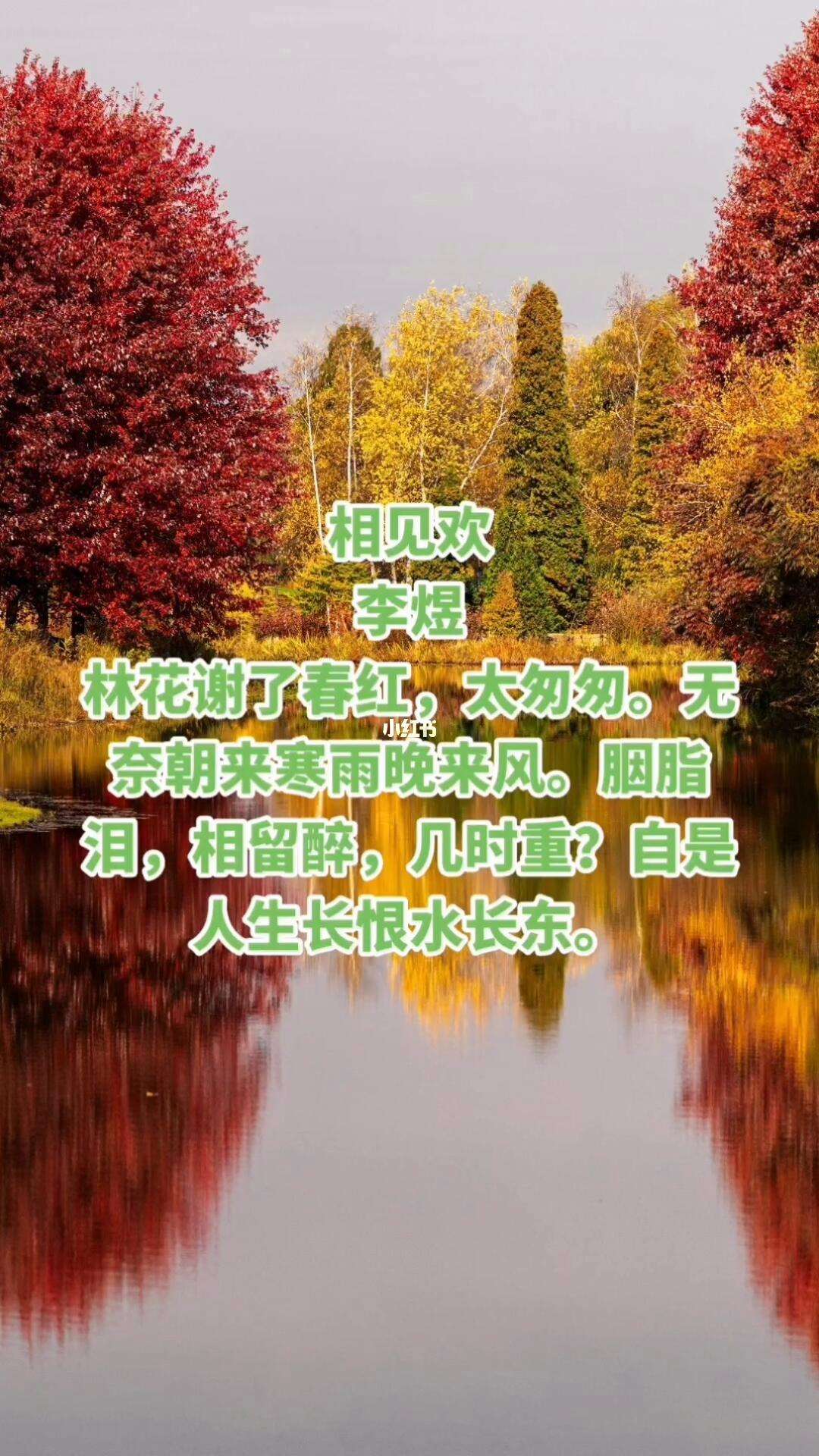 宋词三百首之李煜的《相见欢》_文学诗歌