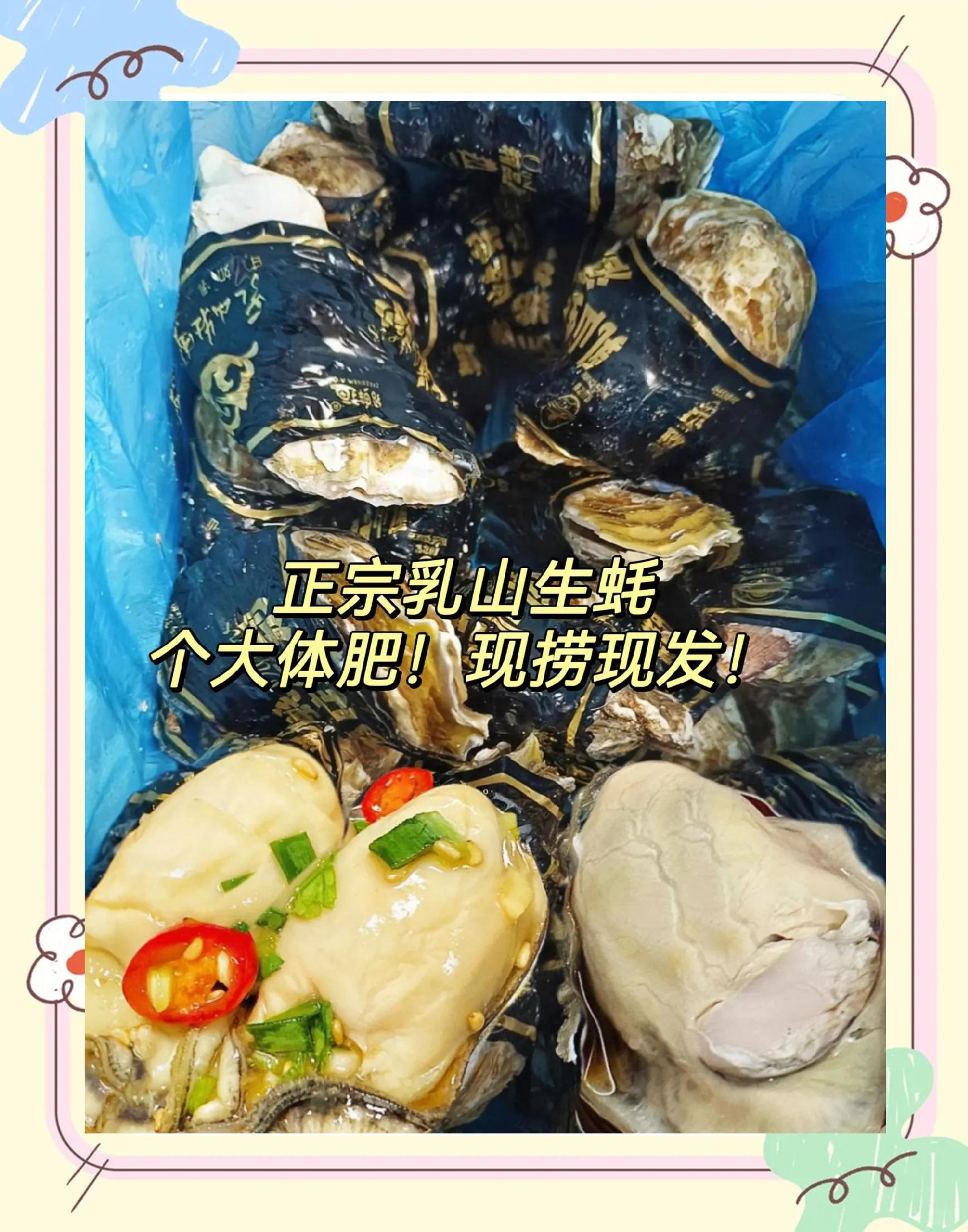 乳山生蚝什么时候吃最佳?个头不大肉挺大