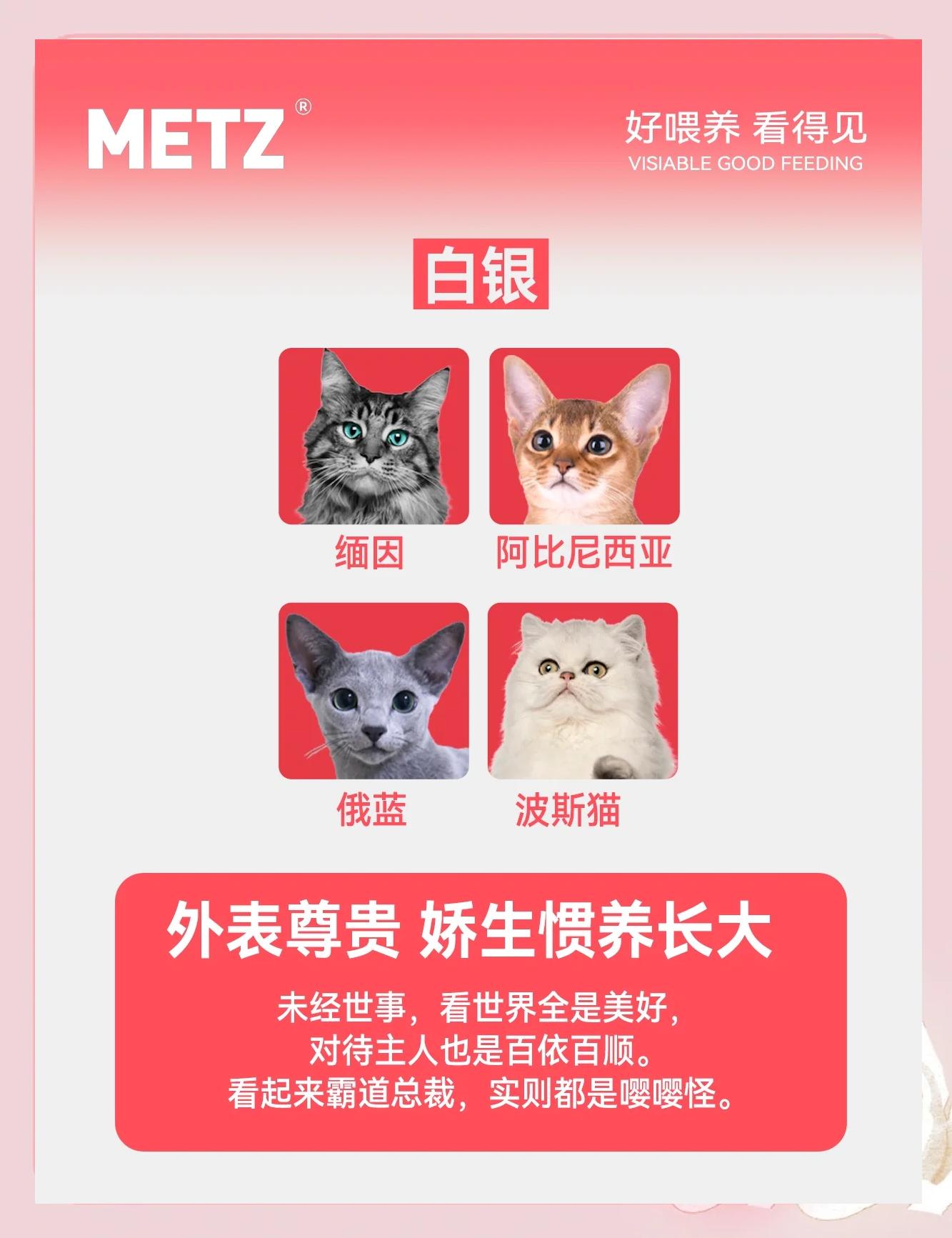 如果猫咪战斗力有段位,谁是王者?_猫咪