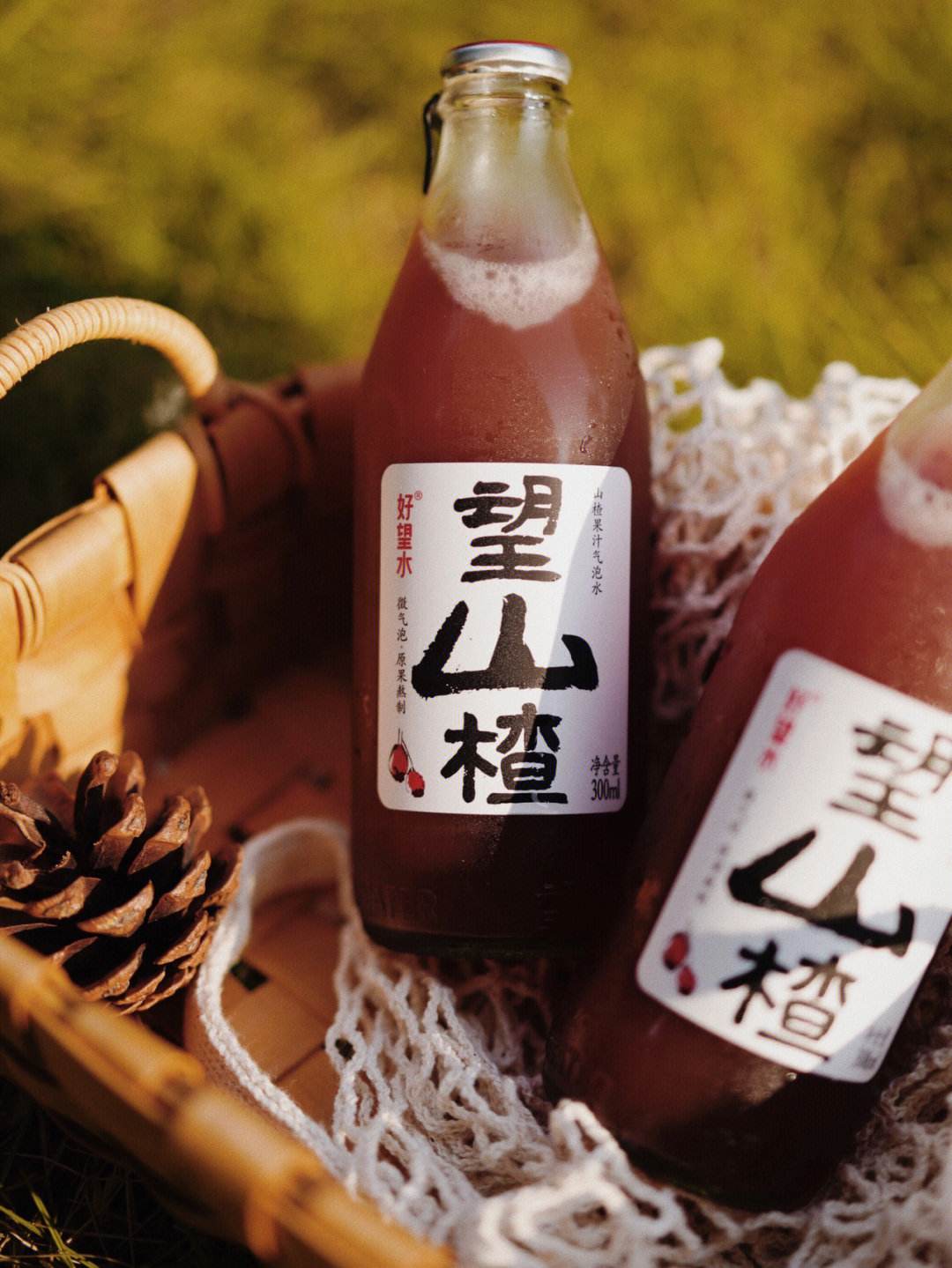 詹夜绿