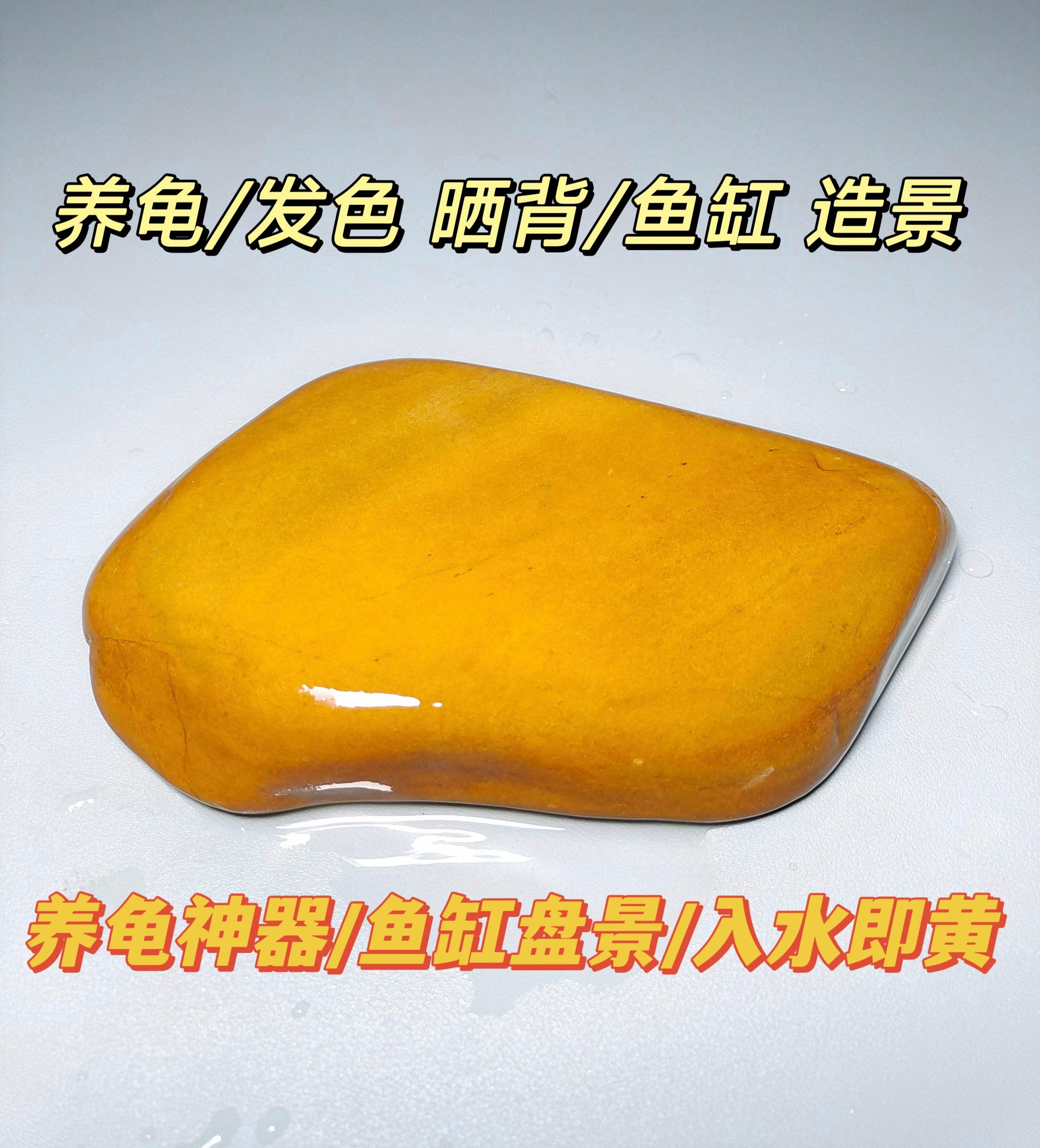 乌龟晒台其实没有必要买,捡块石头也能用