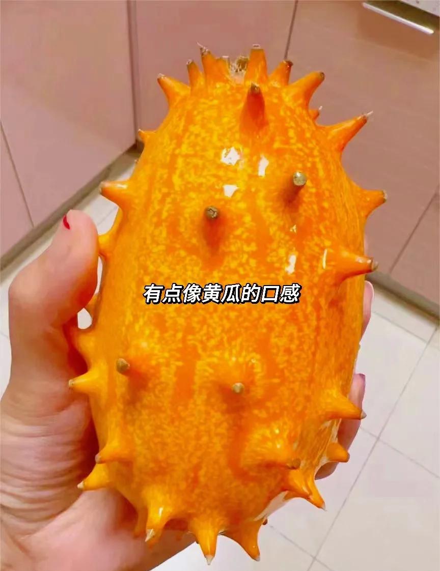 带刺的水果火参果,肉质细腻多籽挺好吃!