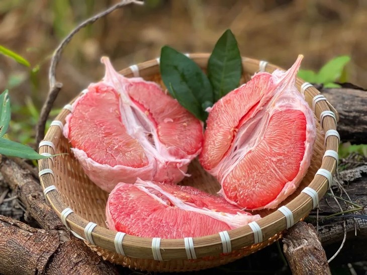生长在世界长寿之乡的水果——三红蜜柚!
