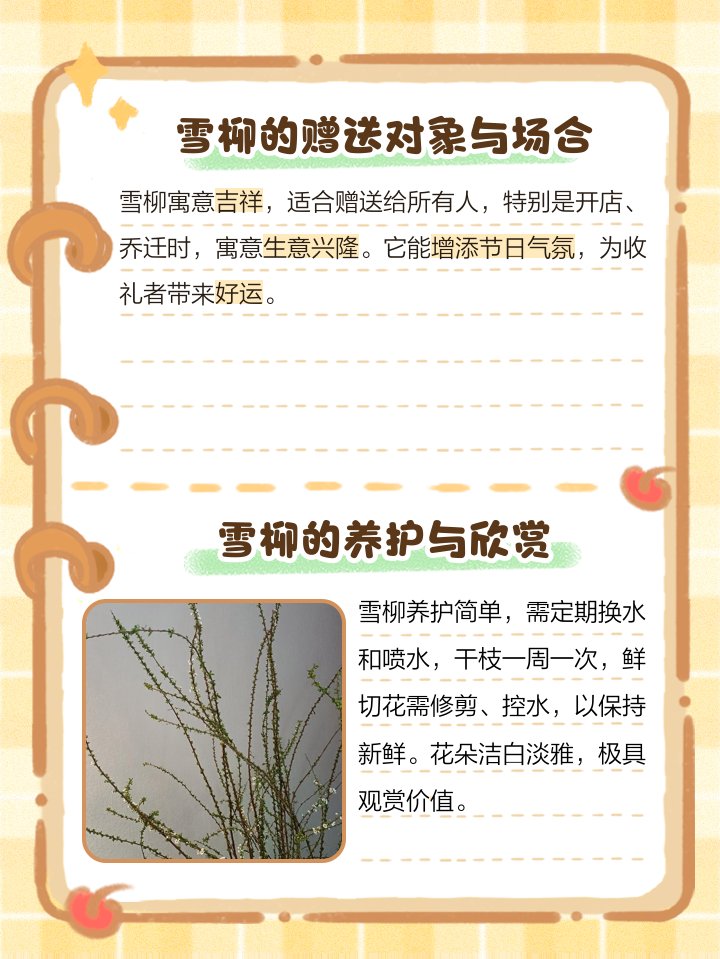 雪柳花语:知道我所有的缺点依然爱我