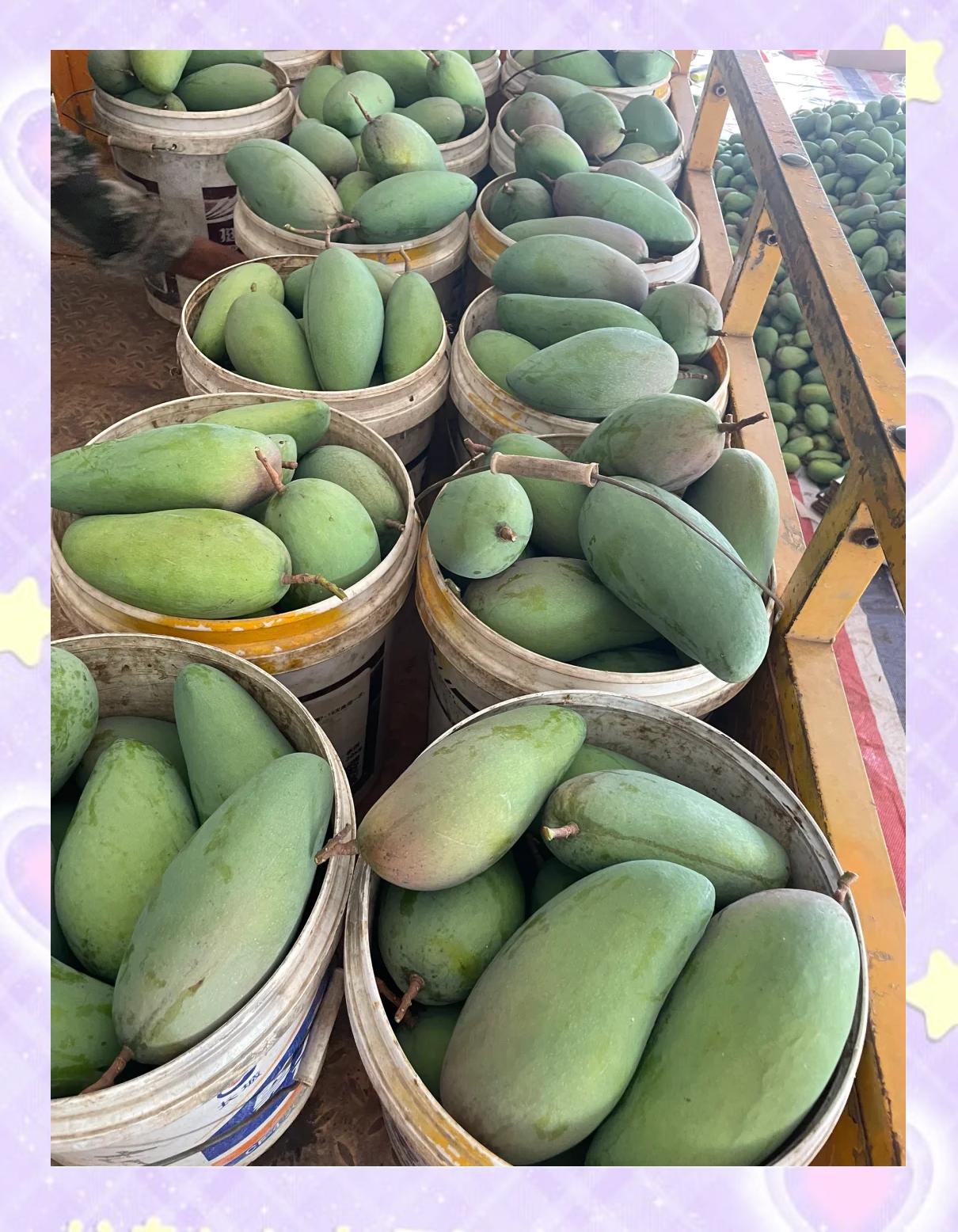 芒果怎么样三块钱一斤的青芒到底值不值