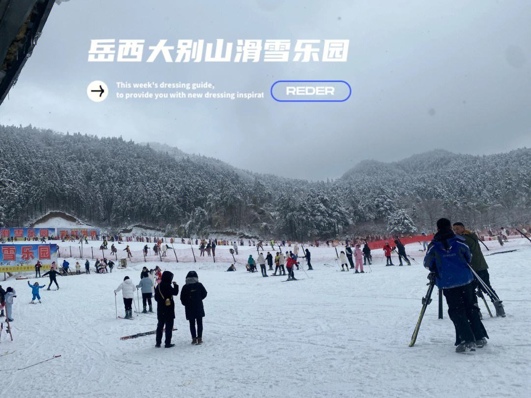 诗叶春