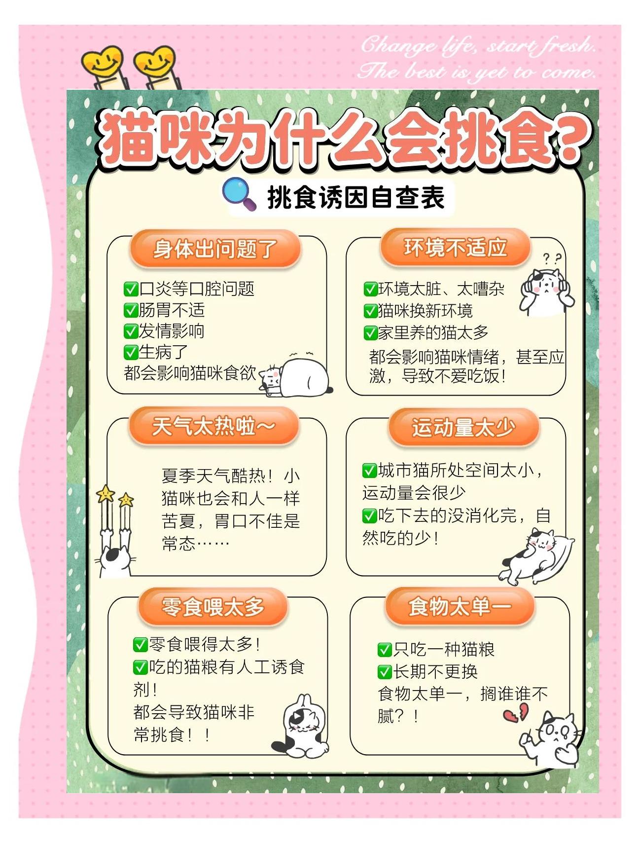 诱食剂真的就是洪水猛兽吗?_猫咪干粮