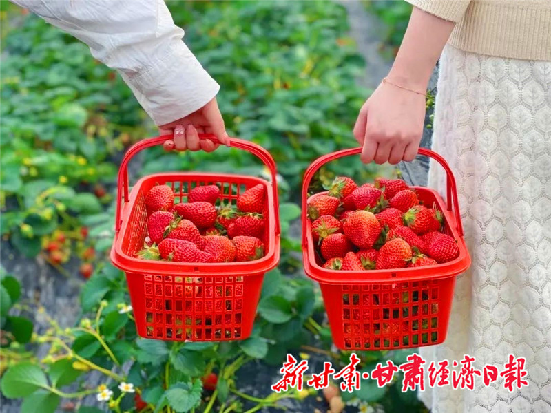 游戏 第31页
