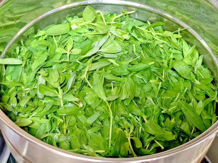 夏天第一“长寿菜”,全身是宝!_蔬菜