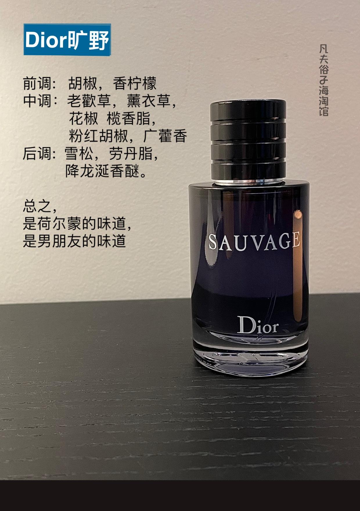 迪奥DIOR旷野男士淡香水_中性香水