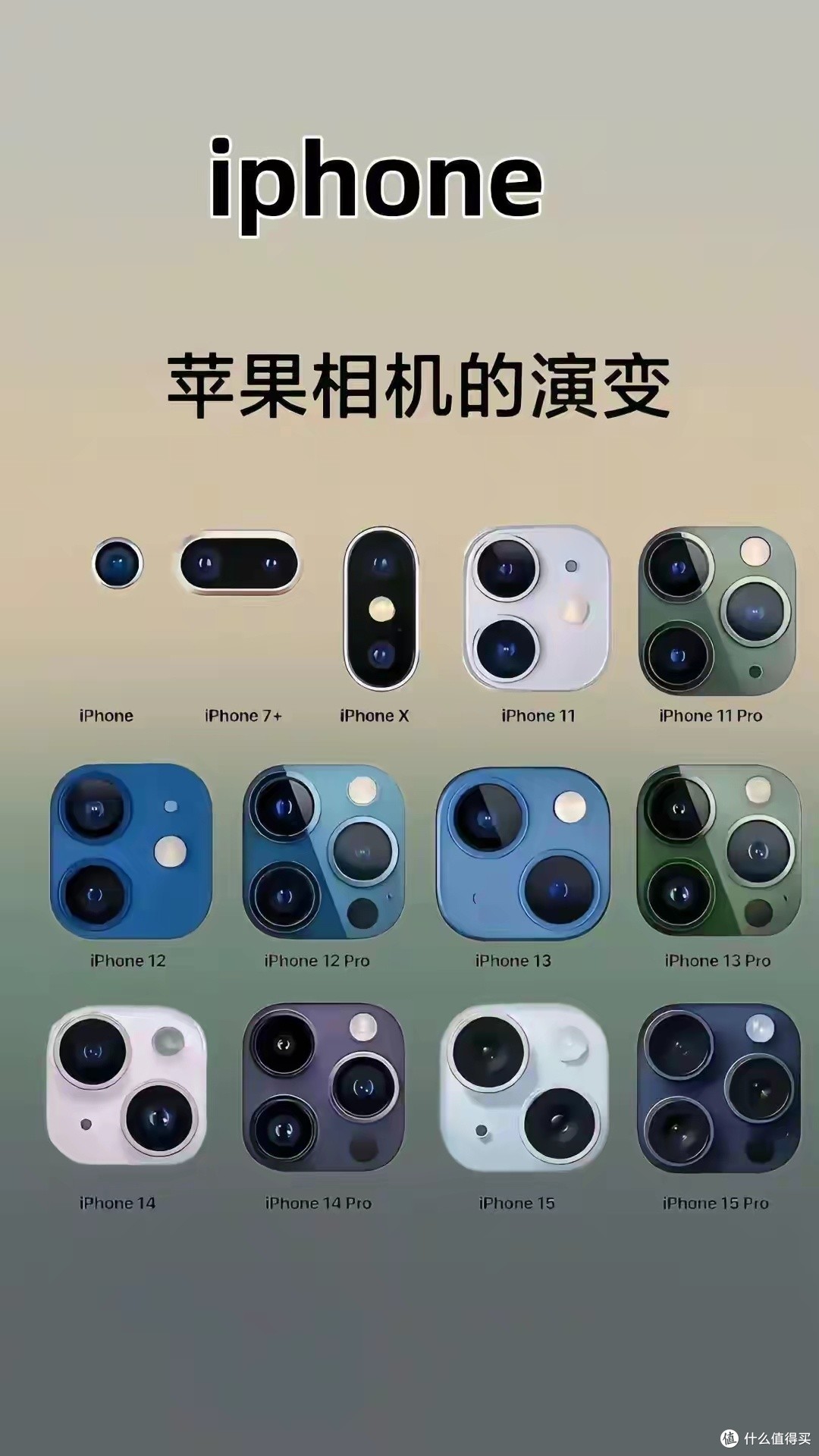 翟依美