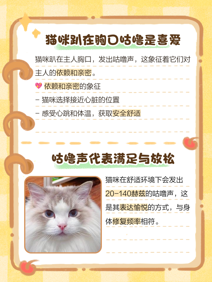 10种猫咪声音解析,你懂多少?_猫咪