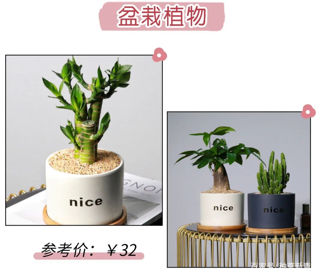 聚合全网资源,万盘之王,好用到飞起!